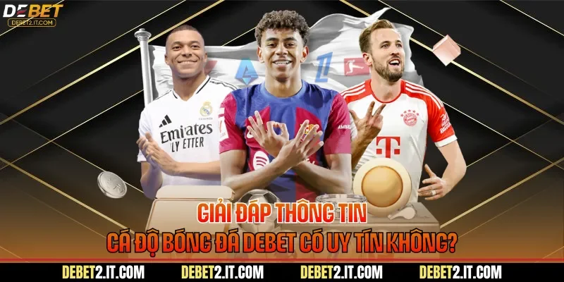 Giải Đáp Thông Tin Cá Độ Bóng Đá DEBET Có Uy Tín Không?